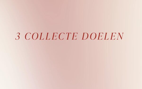 We geven onze collecte weg